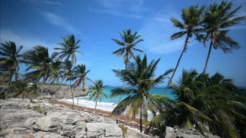 Bottom Bay Barbados Stock Footage 233291966