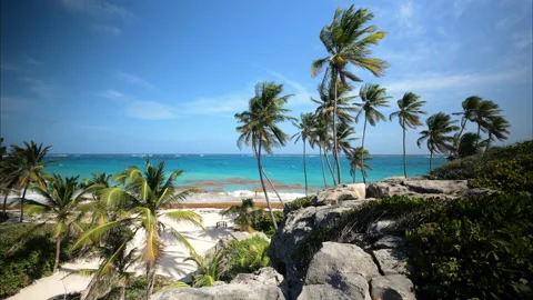 Bottom Bay Barbados Stock Footage 233292854