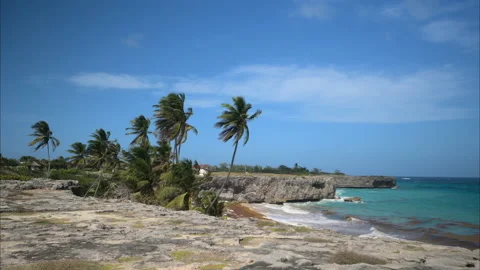 Bottom Bay Barbados Stock Footage 233298392