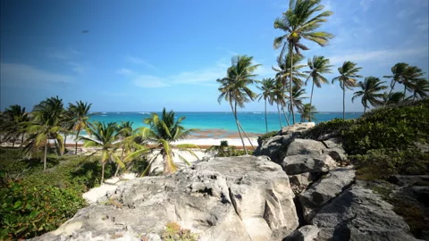 Bottom Bay Barbados Stock Footage 233326340