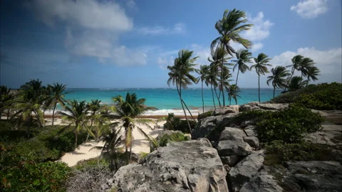 Bottom Bay Barbados Stock Footage 233327643