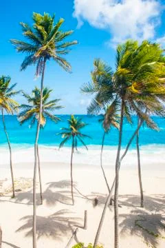 Bottom Bay Foto stock