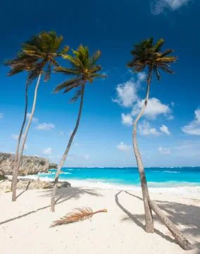 Bottom Bay Foto stock