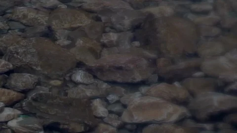 Bottom of a calm stream Stock Footage 117940071