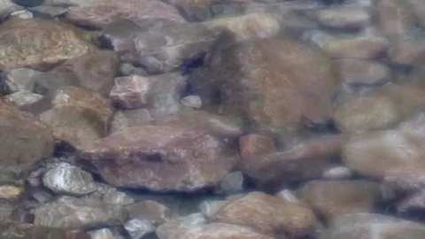 Bottom of a calm stream Stock Footage 117940342