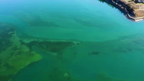 Bottom of a clear lake Stock Footage 96726657