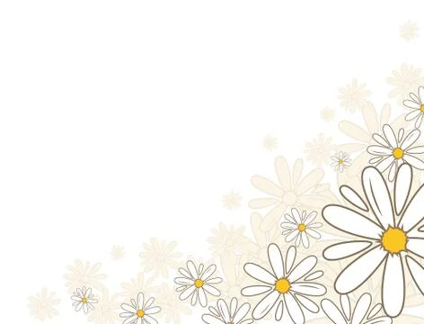 Bottom corner oxeye daisy flower decoration card. National flower of Denmark Stock Illustration