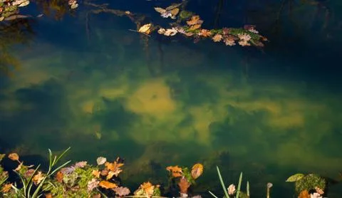 The bottom of the creek Stock Photos