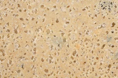 Bottom Crust of Baked Bread Texture Stock Photos