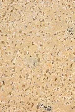 Bottom Crust of Baked Bread Texture Stock Photos