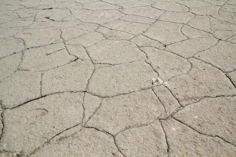 Bottom of the dead Lake Stockfoto's