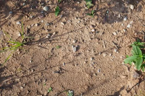 The bottom of a dried-up lake Foto stock