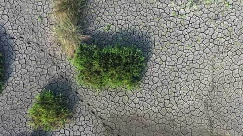 Bottom of drought-dried lake pond with animal tracks, aerial Stock Footage 291323096