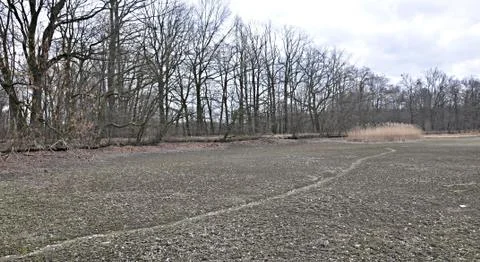 Bottom emitted Stock Photos