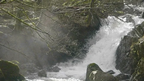 The bottom of a fast flowing waterfall surrounded by rocks and foliage Video stock 126469779