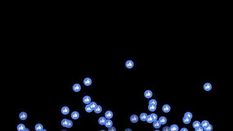 Like from Bottom Stock Footage 87679670