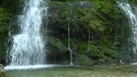 The bottom of a mossy waterfall in a forest (slow motion) Stock Footage 262075559