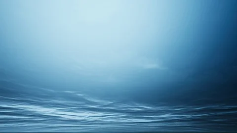 Bottom of the Ocean Stock Footage 100823010