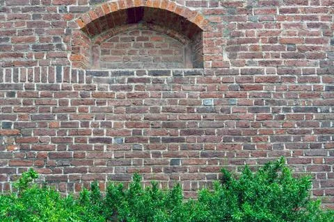 At the bottom of an old red brick wall with a niche at the top, small green l Stock Photos