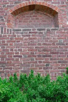 At the bottom of an old red brick wall with a niche at the top, small green l Stock Photos
