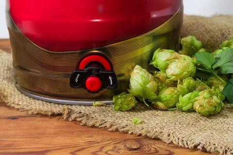 Bottom part of beer  mini keg among the hop cones Fotos Stock