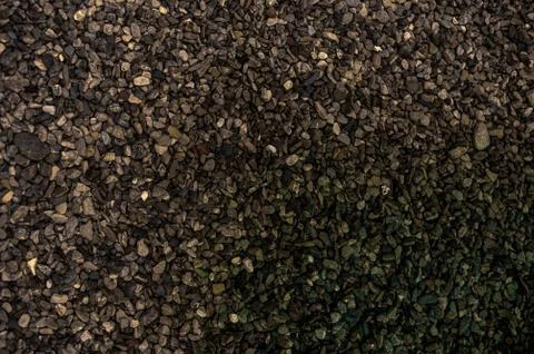 The bottom of the pond is covered with small pebbles. Playful colors of stones Stock Photos