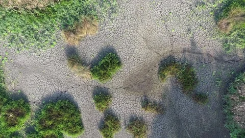 The bottom of a pond that has dried up during a drought, aerial Stock Footage 293712671