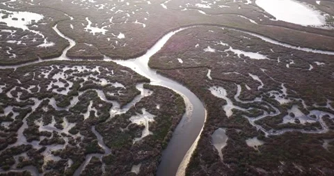 Bottom of a pond without water and abstract curves of the terrain Video stock 152041629