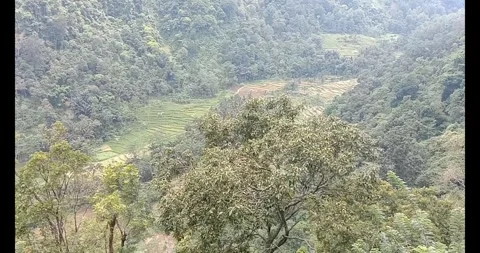 Bottom of the ravine Stock Footage 287962484