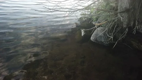 Bottom of a river pan up 4K Stock Footage 135167837