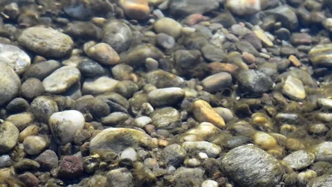 The bottom of a river with pebbles and algae Stock Footage 84930649