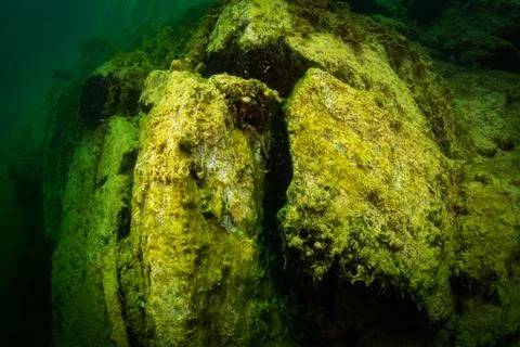 At the bottom of the river Stock Photos