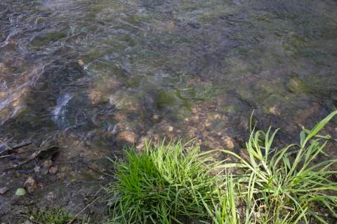Bottom of the river. Stock Photos