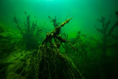At the bottom of the river Stock Photos