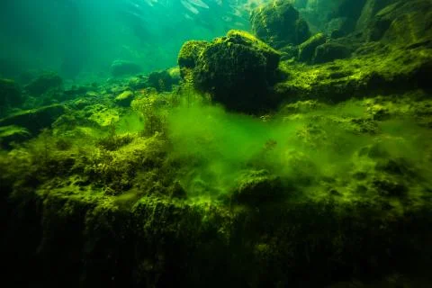 At the bottom of the river Stock Photos