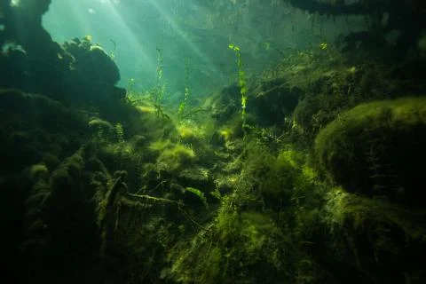 At the bottom of the river Stock Photos