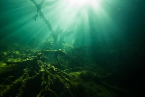At the bottom of the river Stock Photos