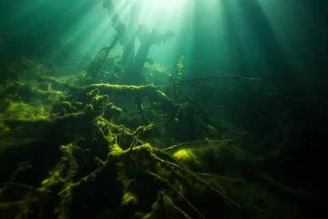 At the bottom of the river Stock Photos