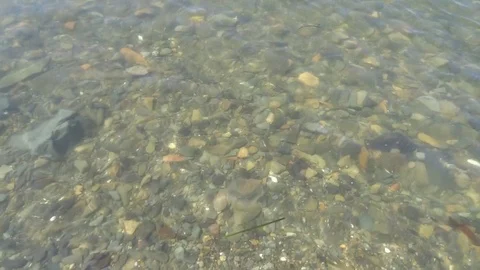 The bottom of the sea Vídeo Stock 86971773