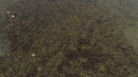 The bottom of the sea Stock Footage 149949184
