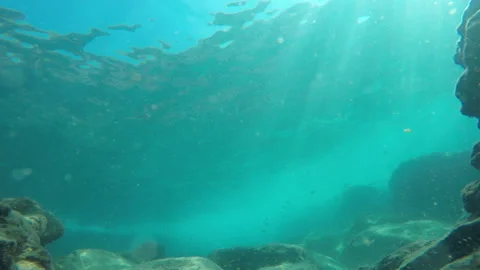 Bottom of sea lagoon Stock Footage 146073282