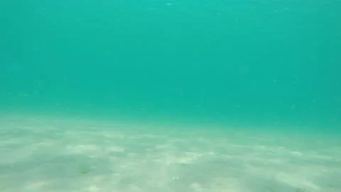 Bottom of sea lagoon Stock Footage 155518871