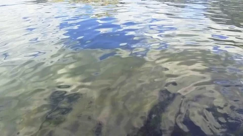 The bottom of the sea through crystal-clear water. Stones in algae Stock Footage 85110160