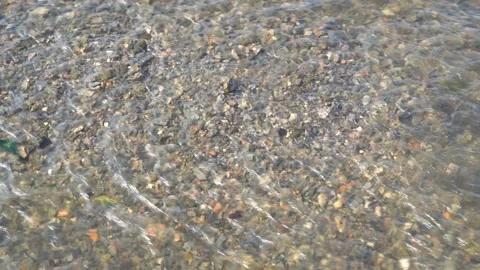 At the bottom of a shallow stream are small colored stones, they are visible 스톡 동영상 149444004