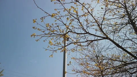 Bottom shot of a wind turbine Stock Footage 182971808