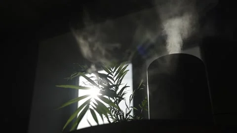 Bottom silhouette view of air purifier and humidifier releases strong stream Stock Footage 238955723