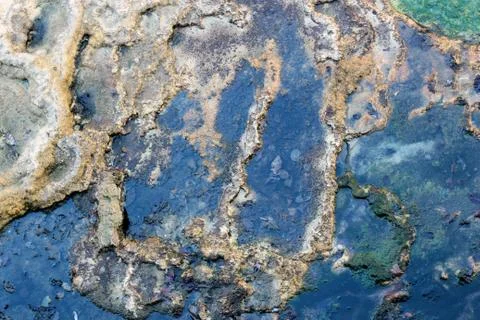 Bottom of the source of hydrogen sulfide pool in Karlovy Vary, Czech Republic Stock Photos