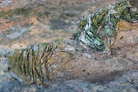 Bottom of the source of hydrogen sulfide pool in Karlovy Vary, Czech Republic Stock Photos