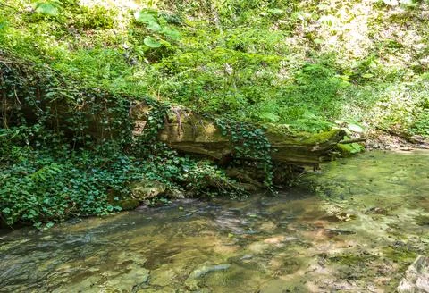 Bottom structure and daytime walks along the canyon of the mountain river loc Stock Photos