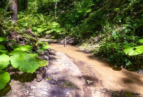 Bottom structure and daytime walks along the canyon of the mountain river loc Stock Photos